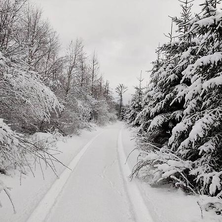 Stuga I Naturskoena Mittskane Хёэр Экстерьер фото